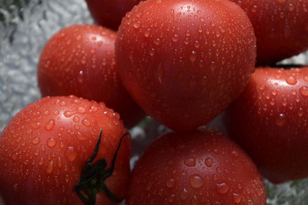 ゲンキの時間 トマト 健康 美容