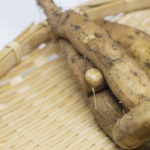 【相葉マナブ】自然薯レシピ!自然薯のかき揚げの作り方を紹介!