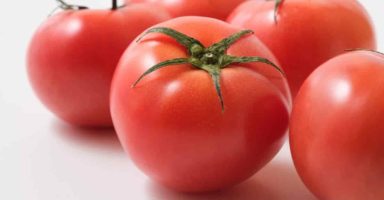 トマトを長持ちさせる保存方法