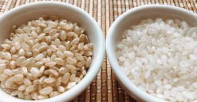 玄米と白米どれだけ体重差がつく?