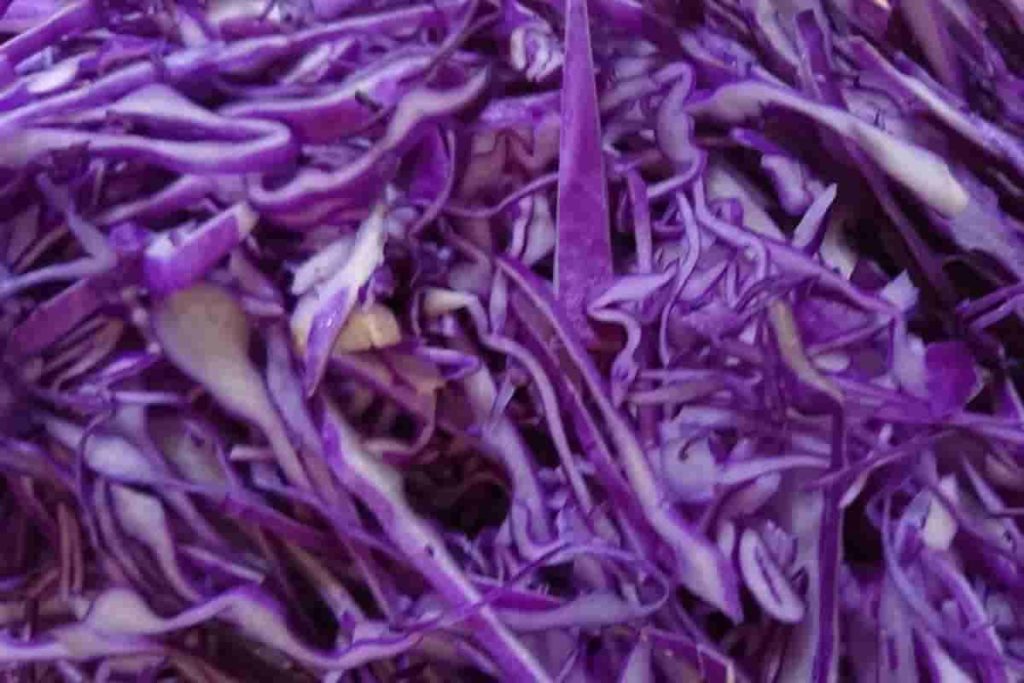 紫キャベツのクミンサラダ