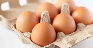 たまごの漢字卵と玉子違いは何ですか?