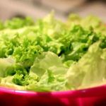 【きょうの料理ビギナーズ】グリーンサラダの作り方を紹介!市瀬悦子さんのレシピ