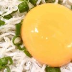 【相葉マナブ】卵黄シラス万能ねぎの作り方を紹介!藤井恵さんのレシピ